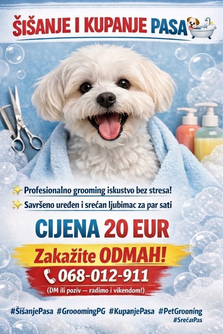 Specijalna ponuda - Šišanje i kupanje pasa 20 EUR u Podgorici