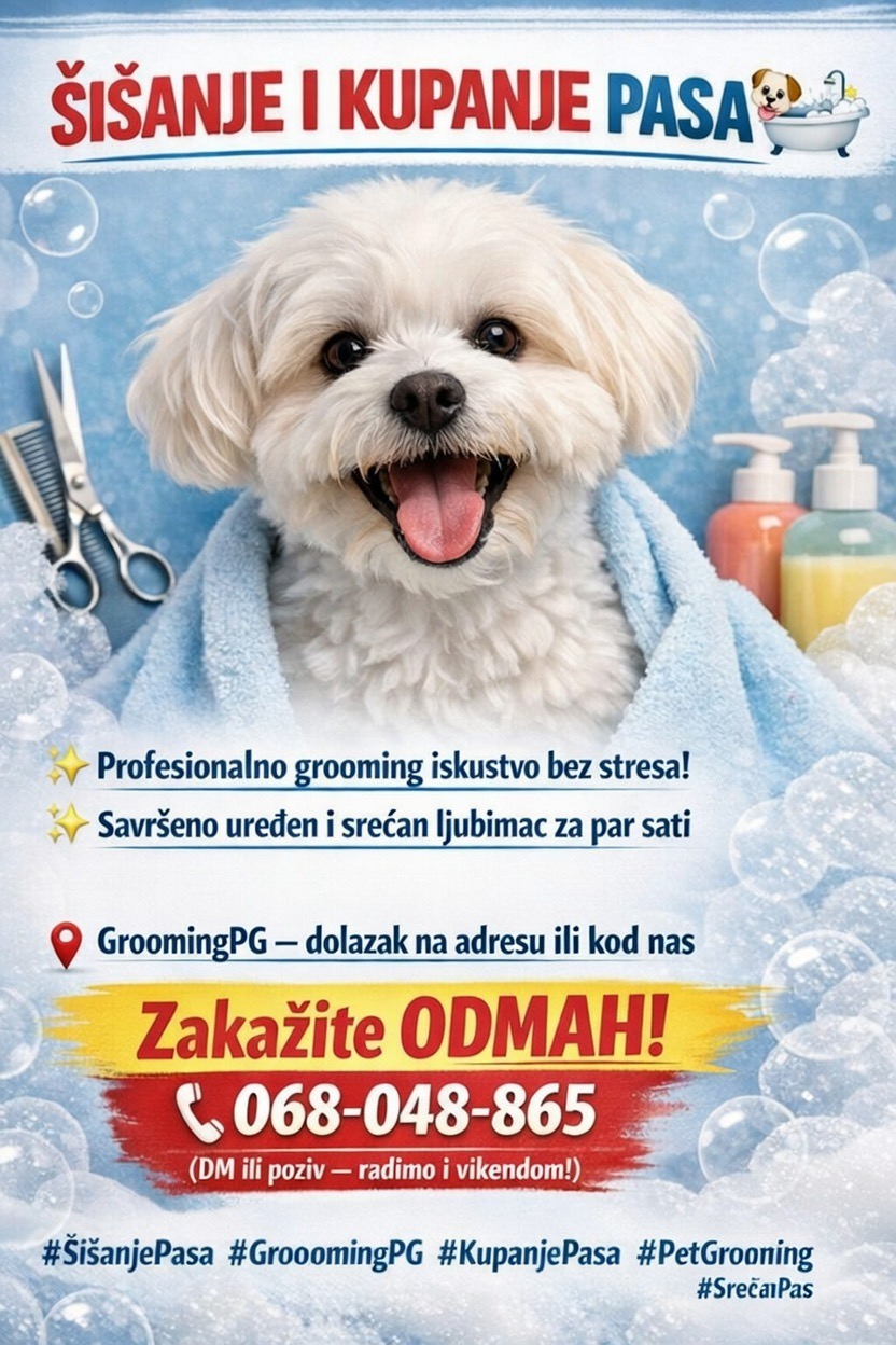 Salon za pse Podgorica – GroomingPG rezultati profesionalnog groominga pasa